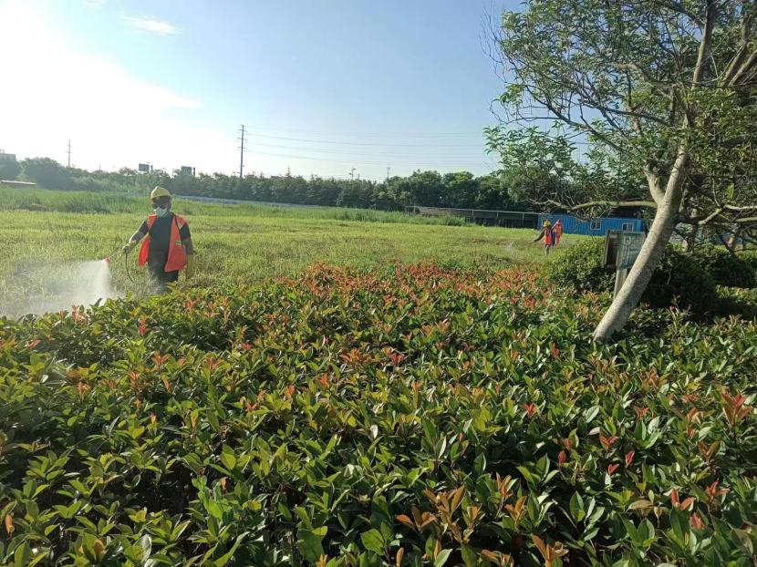 1722417879480 病蟲害防治(04)