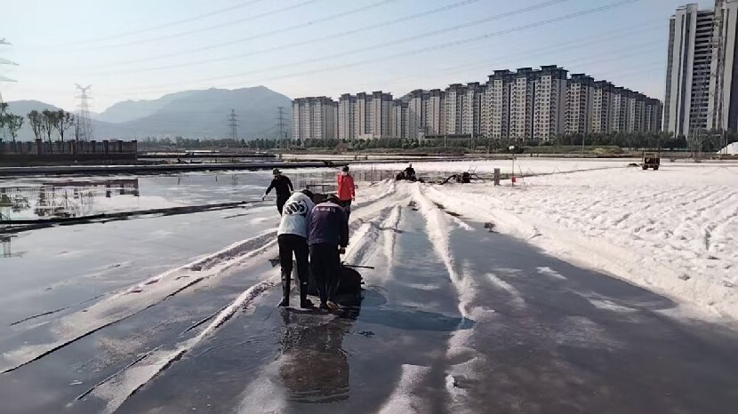 微信圖片_20250613114740