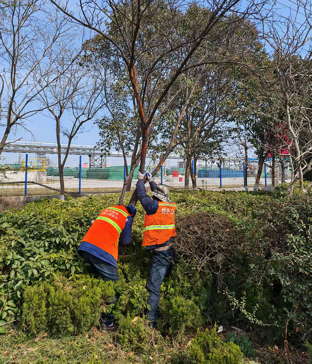 3521a7b53033ee93f1d79ad28f405389