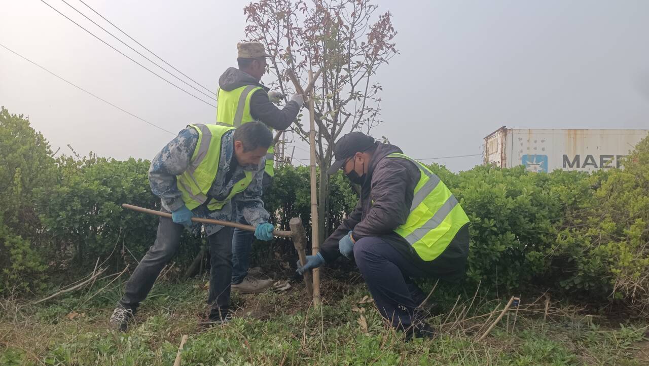 QQ圖片20260402085242